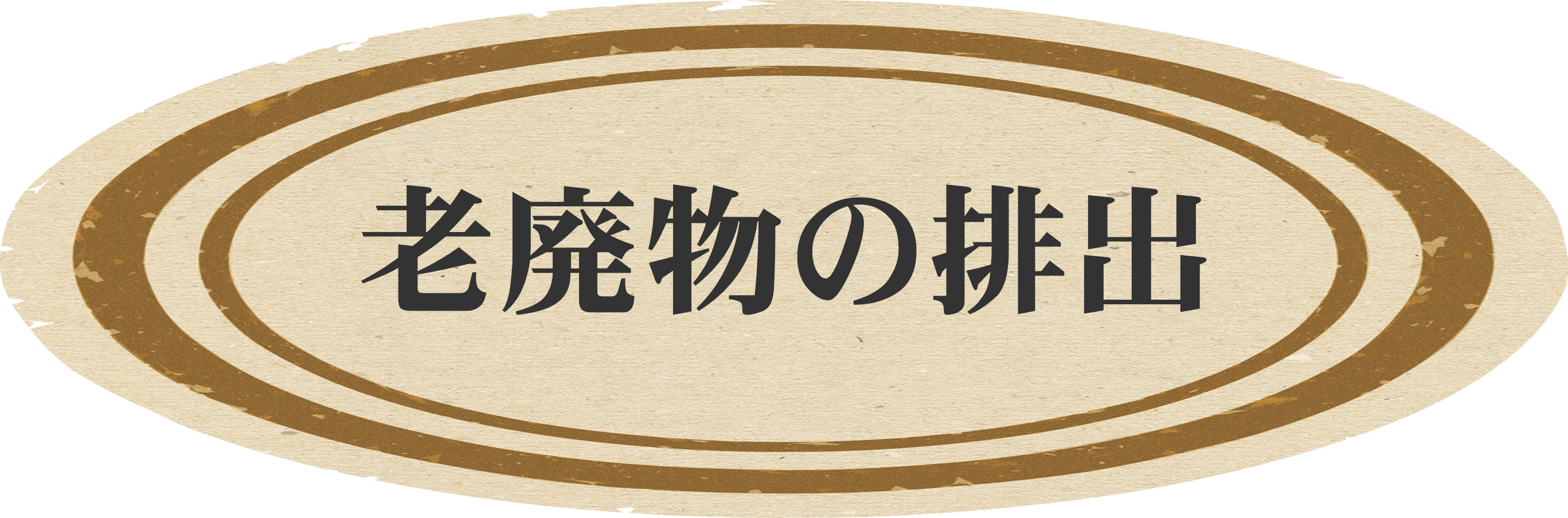 老廃物の排出